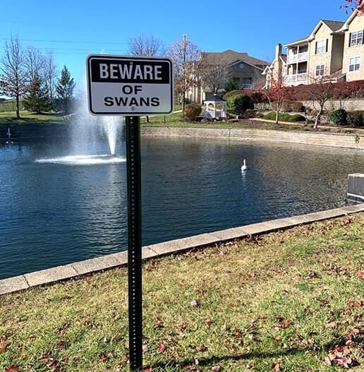 Safety and Traffic Signs